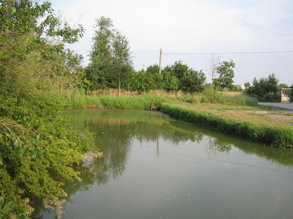 Agriturismo Lucchetta Reggiolo Dış mekan fotoğraf
