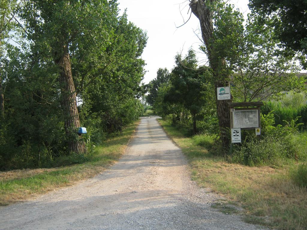 Agriturismo Lucchetta Reggiolo Dış mekan fotoğraf